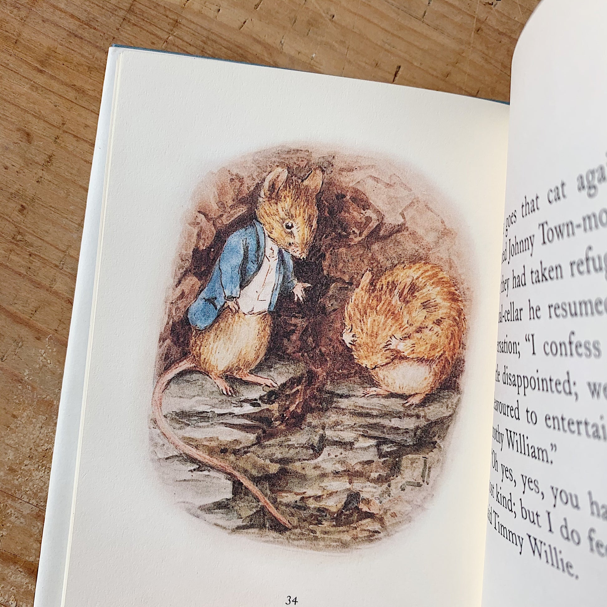 A close-up of an illustration inside the book of two mice with text on the opposite page