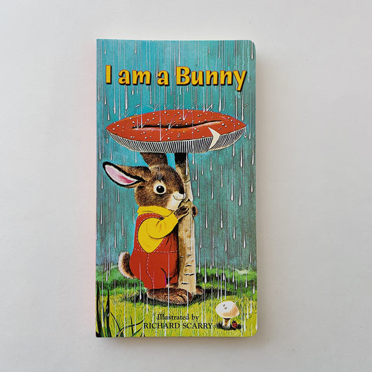 i am a bunny boardbook laydown flat on white background straight shot