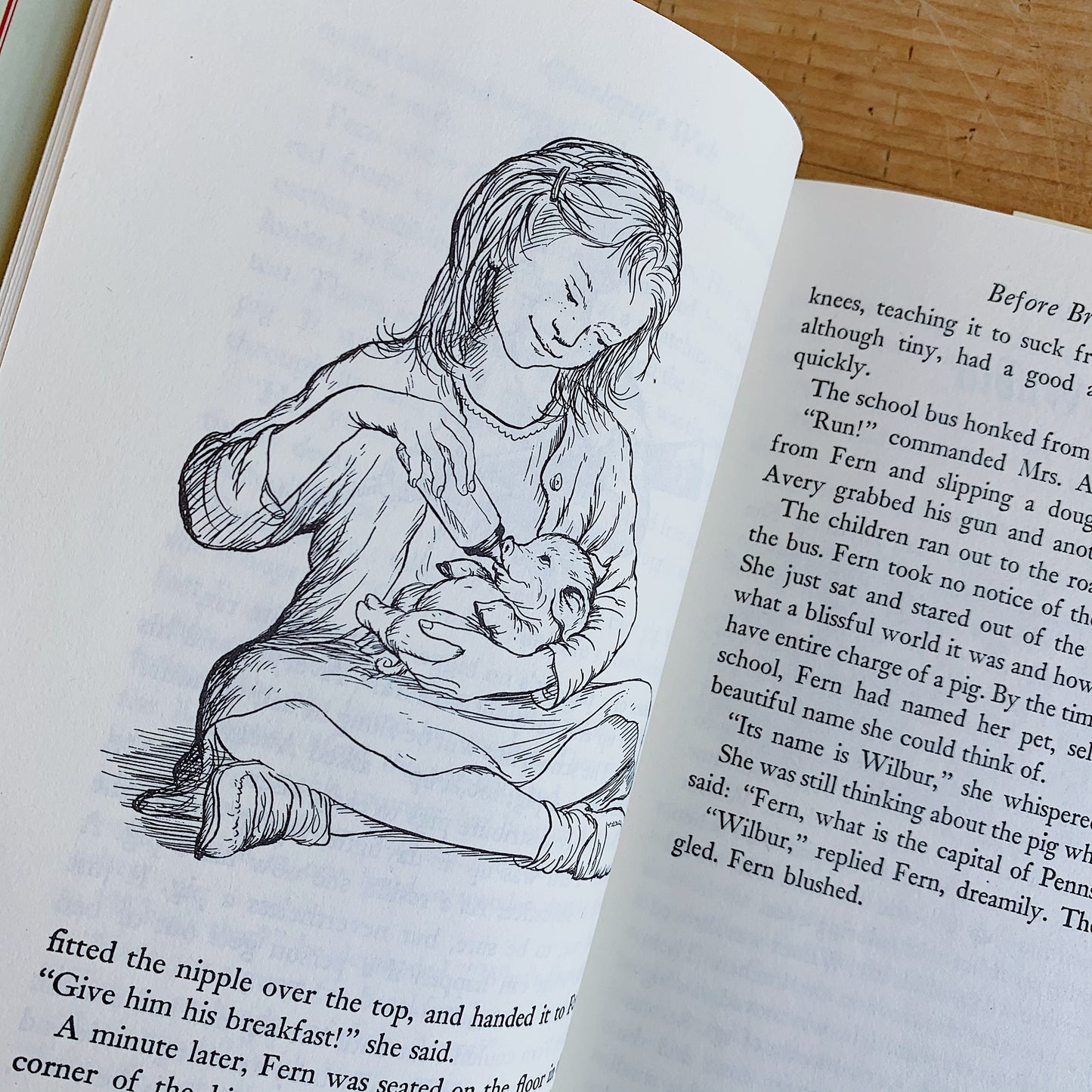charlotte's web laydown inside pages on wooden background