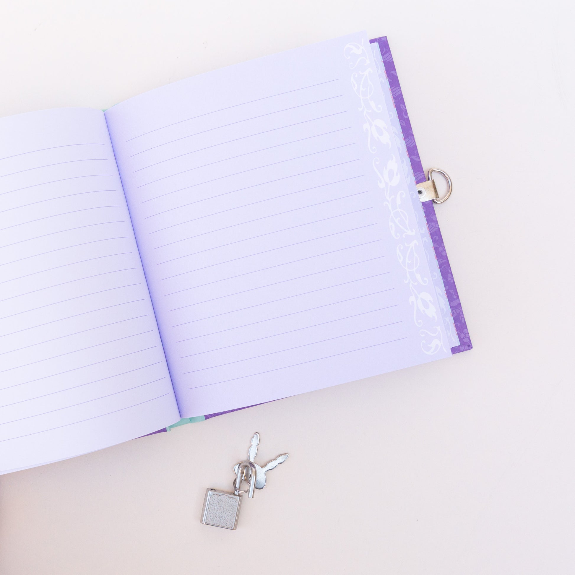 inside view unicorn diary